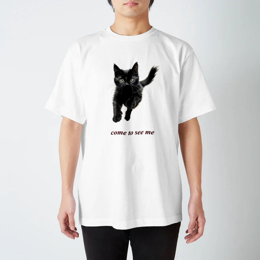 日向ぼっこの黒猫ちも スタンダードTシャツ