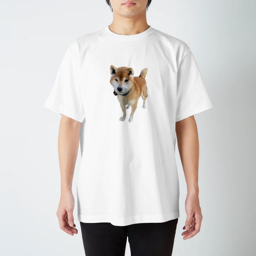 高速道路屋さんのツリ目犬 スタンダードTシャツ