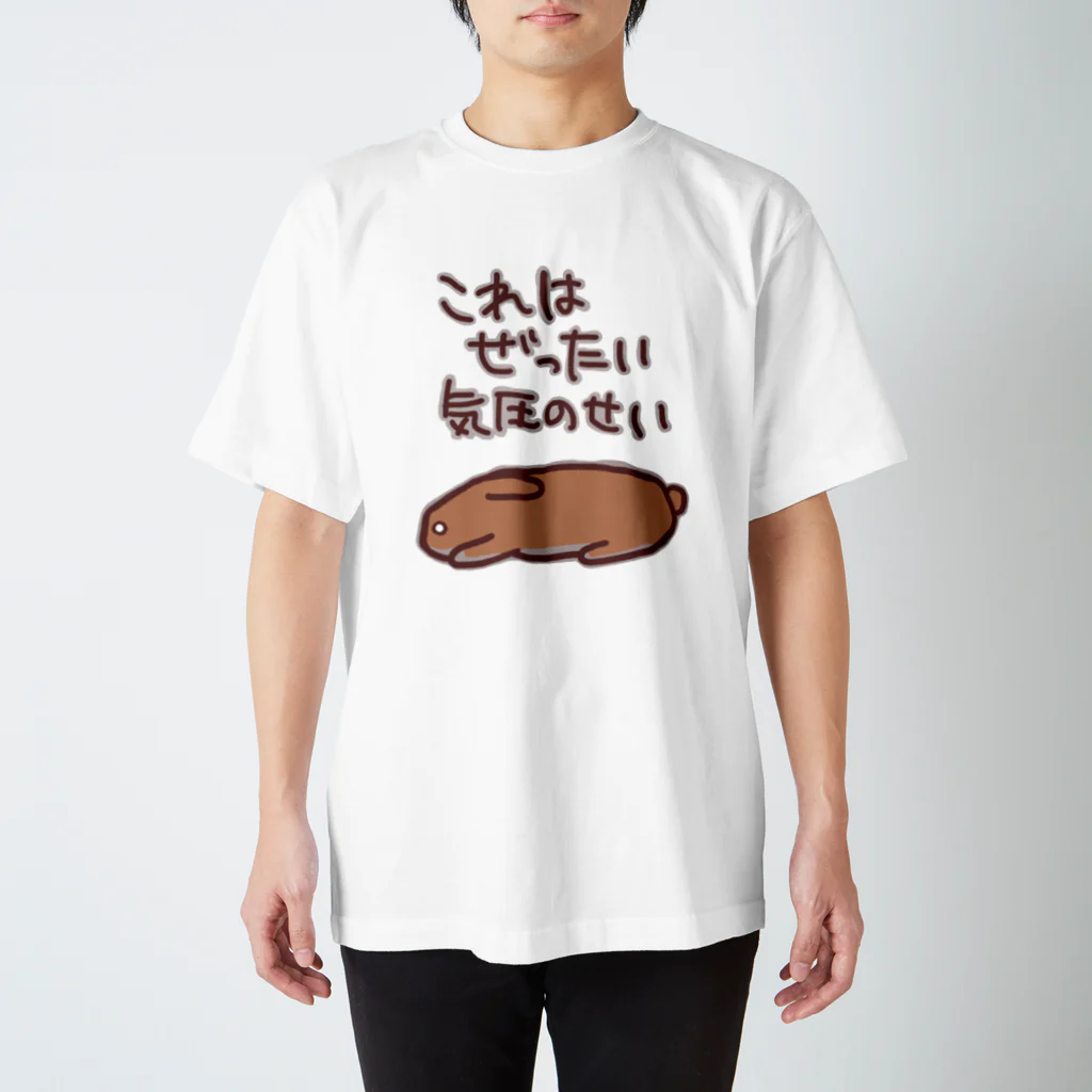 ミナミコアリクイ【のの】の絶対気圧のせい【うさぎ】 スタンダードTシャツ