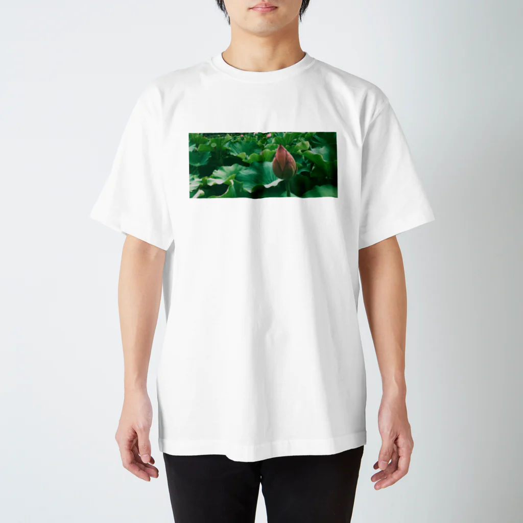 inuhaの蓮の花 スタンダードTシャツ