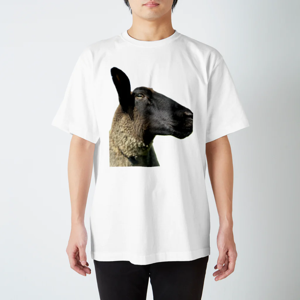 Rnoleleso_Photoの羊くん Regular Fit T-Shirt