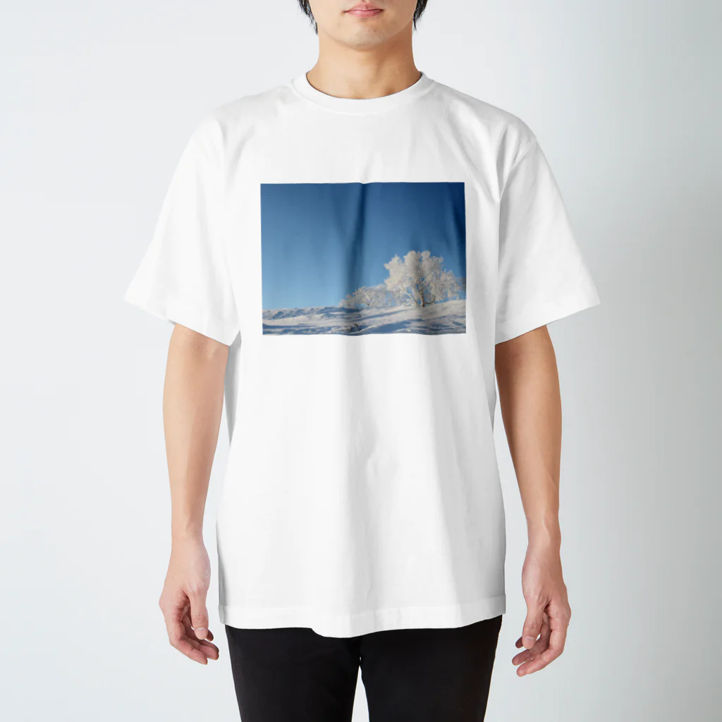 kazenomichi＋の樹氷と青空 スタンダードTシャツ