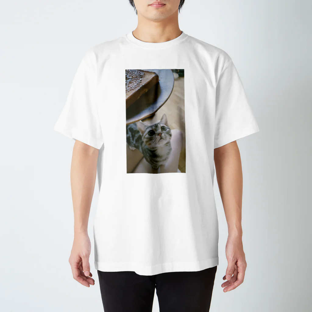 34のシナモントースト Regular Fit T-Shirt