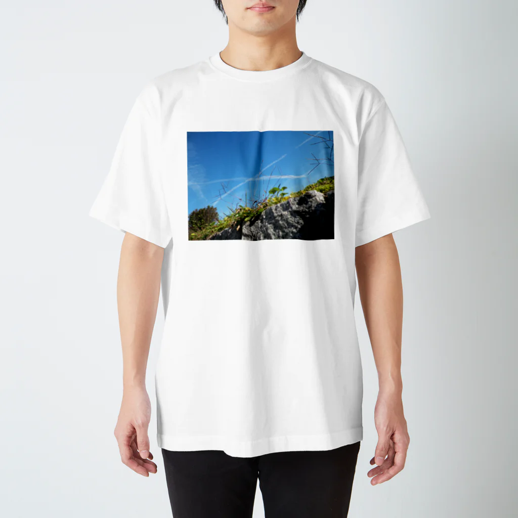 ミドリのdaichi スタンダードTシャツ