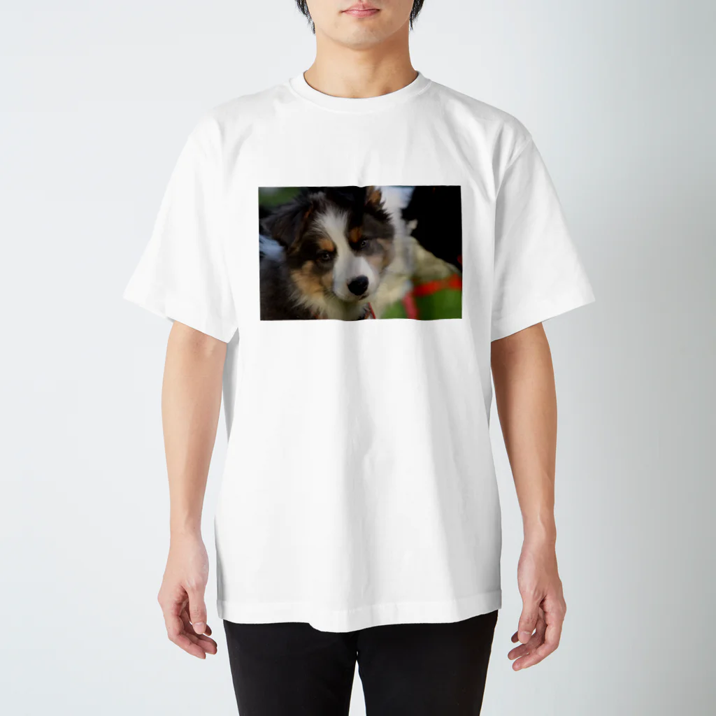 🌼🦊ボーダーコリーおぼまな屋🦝🍋のﾎﾞｰﾀﾞｰｺﾘｰ真永くん子犬時代 티셔츠