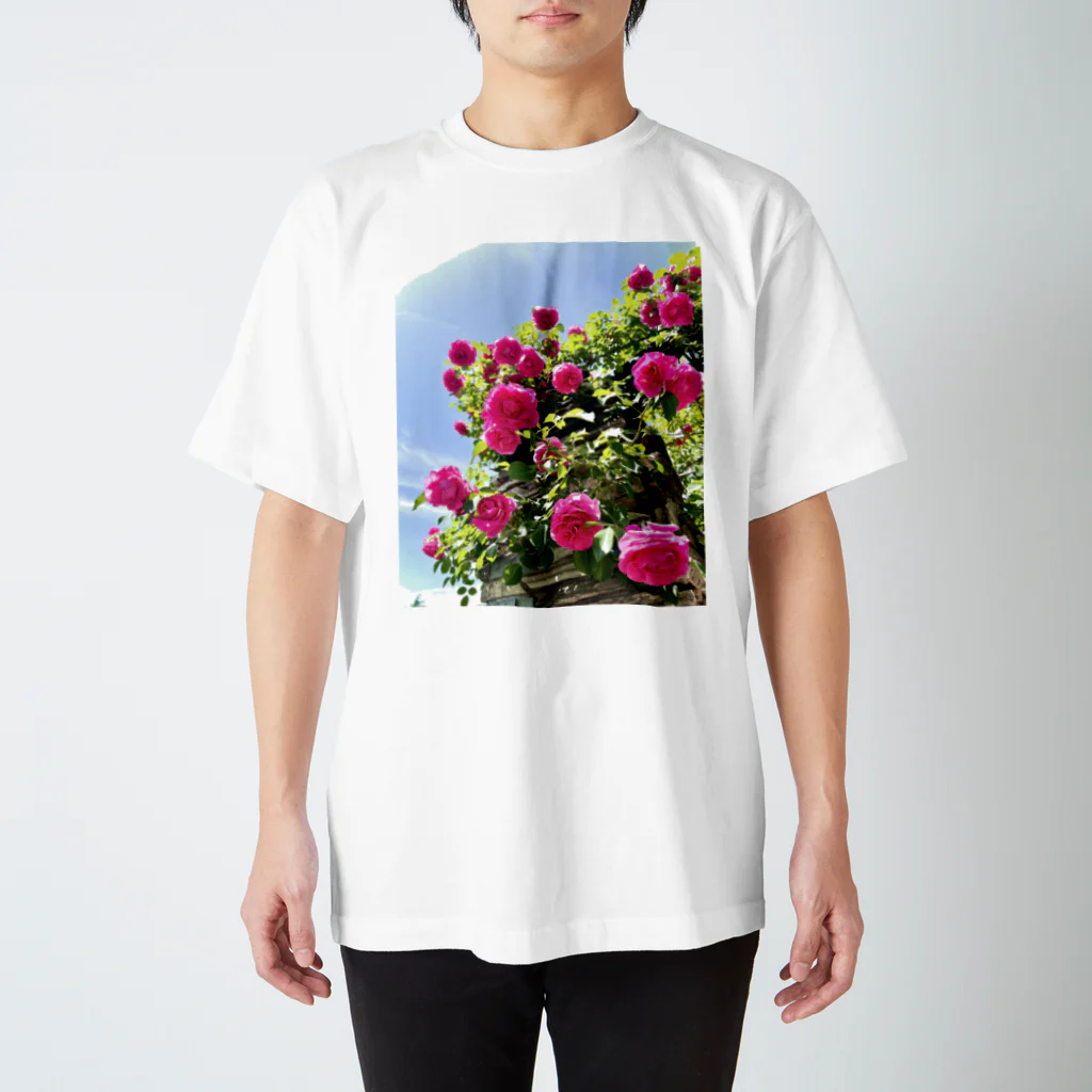 maikoのショップの薔薇と青空 スタンダードTシャツ