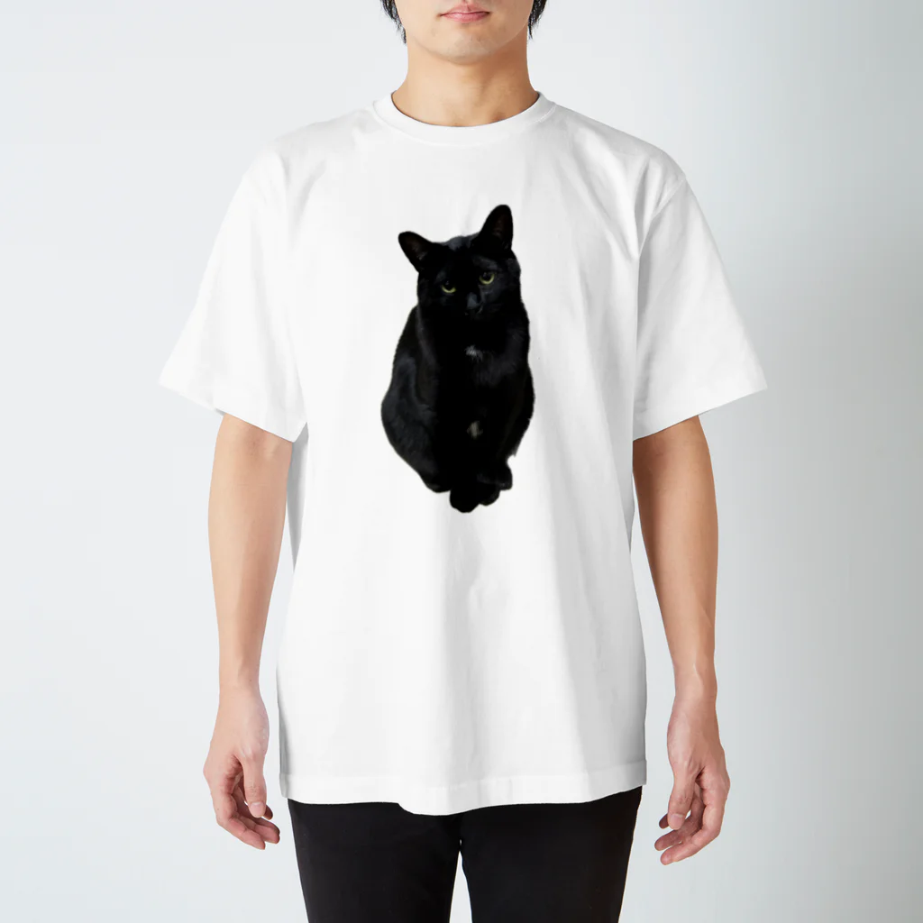 猫和尚のＴシャツ屋さんの安兵衛 スタンダードTシャツ