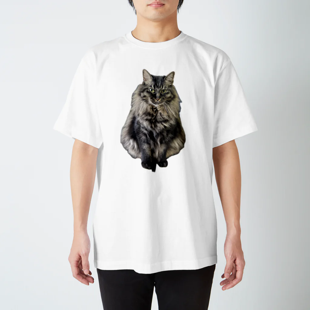 猫和尚のＴシャツ屋さんの源三8.5kg スタンダードTシャツ