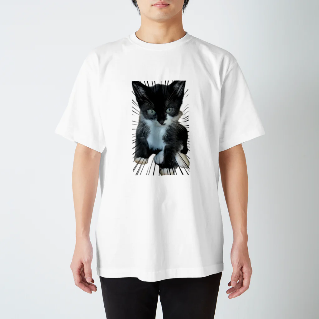 猫のひとりごとのハチワレてない末っ子くつした猫 スタンダードTシャツ