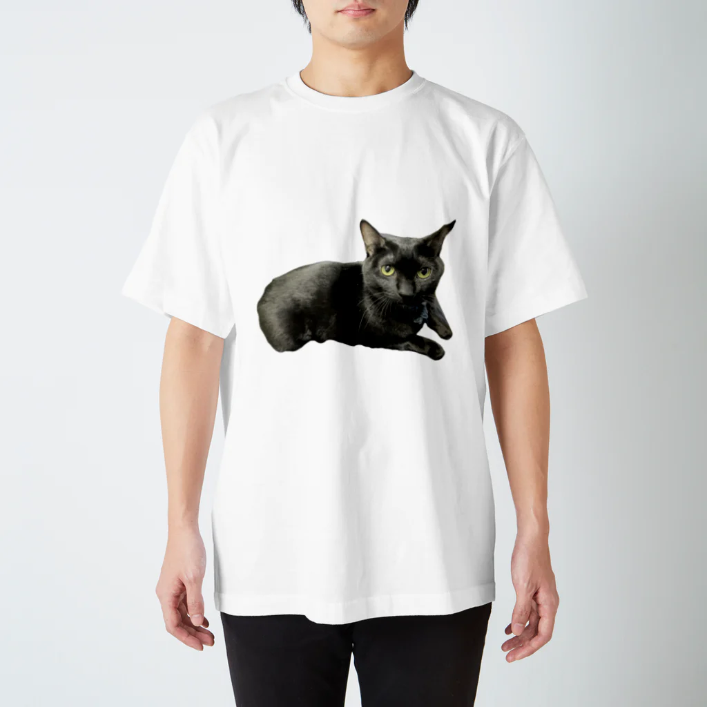 猫和尚のＴシャツ屋さんのせんべい君 スタンダードTシャツ