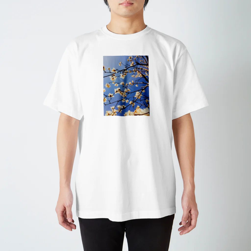 komochi_itachiの白木蓮 Regular Fit T-Shirt
