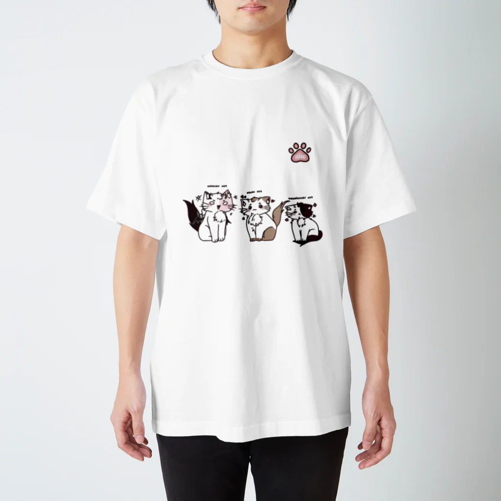 ナマコっちのナマコっち猫登場 スタンダードTシャツ