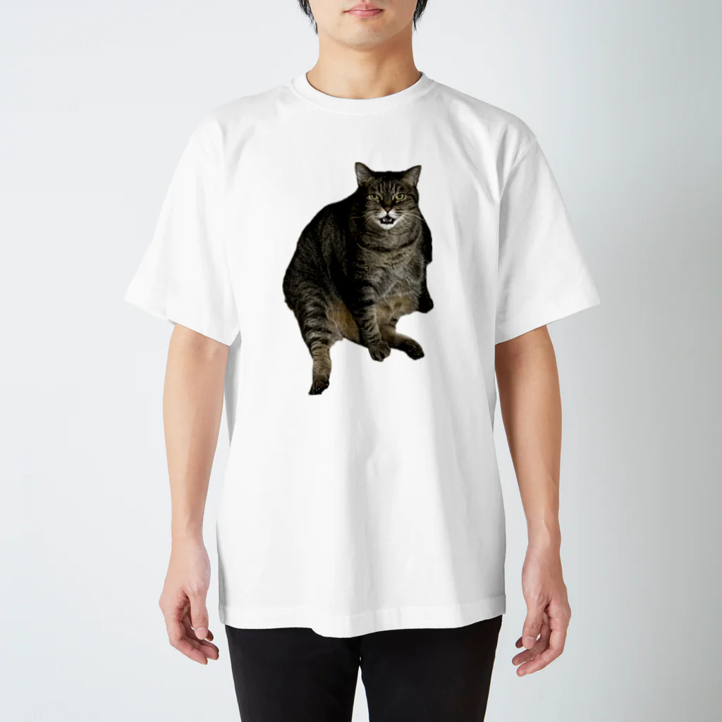 あきぞらやのうちのねこ スタンダードTシャツ