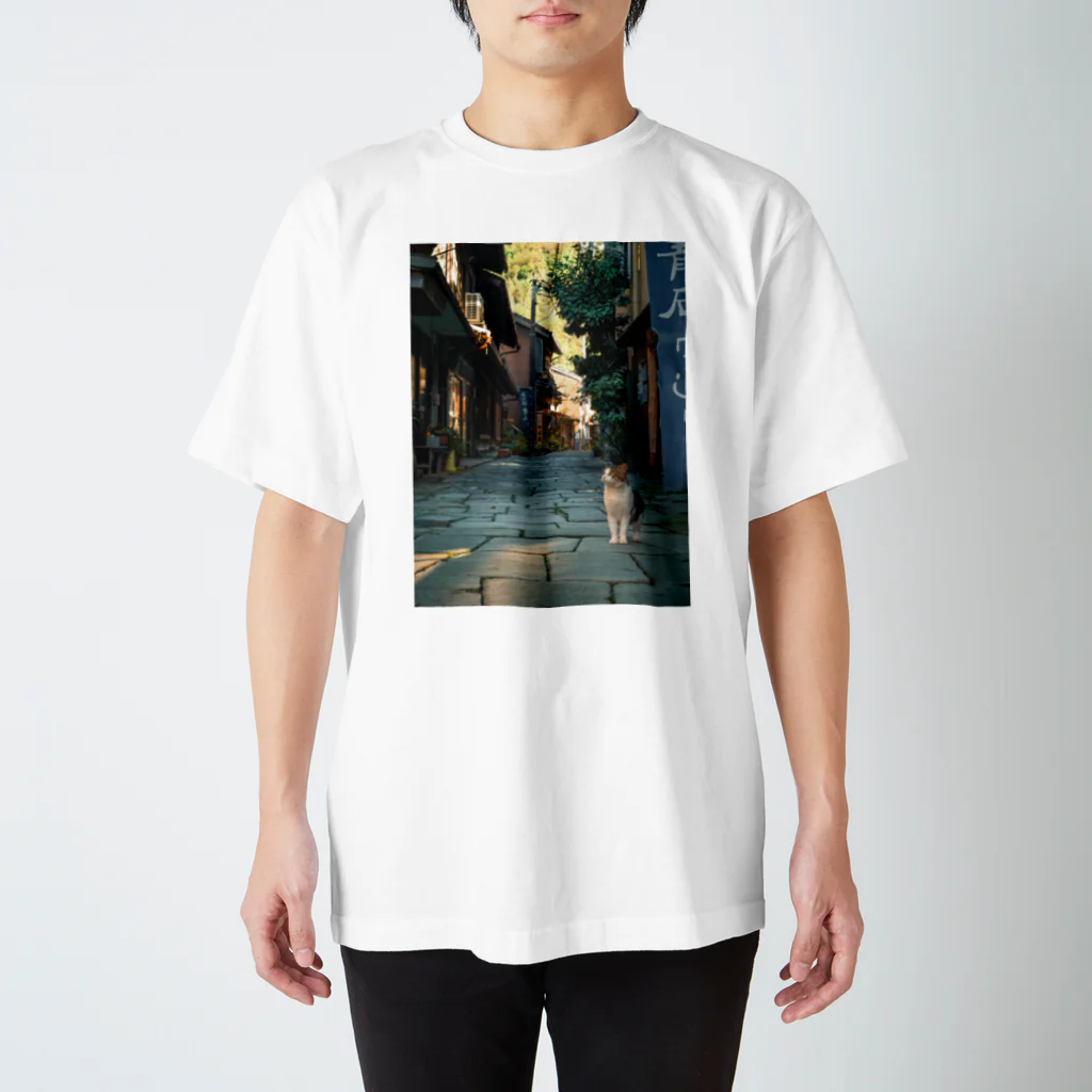 Ryoppi_neko_photoのRyoppi_neko_goods-2 スタンダードTシャツ