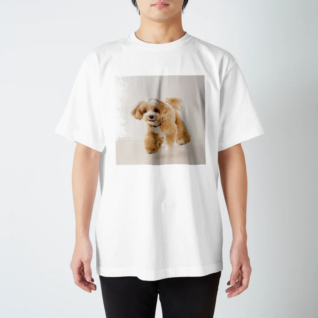 ちゃちゃまるしょっぷ🐶のるんるん Regular Fit T-Shirt