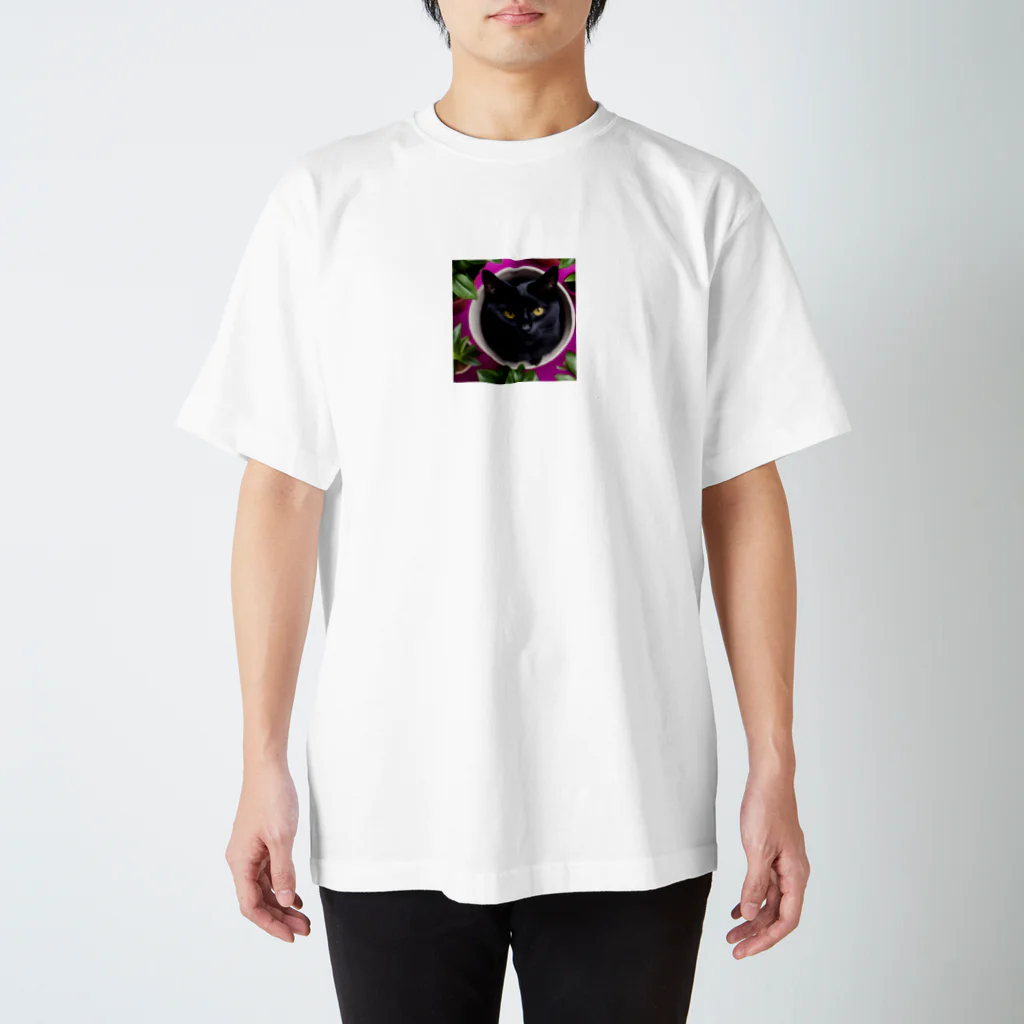 merch_by_kの春の庭の猫 Regular Fit T-Shirt