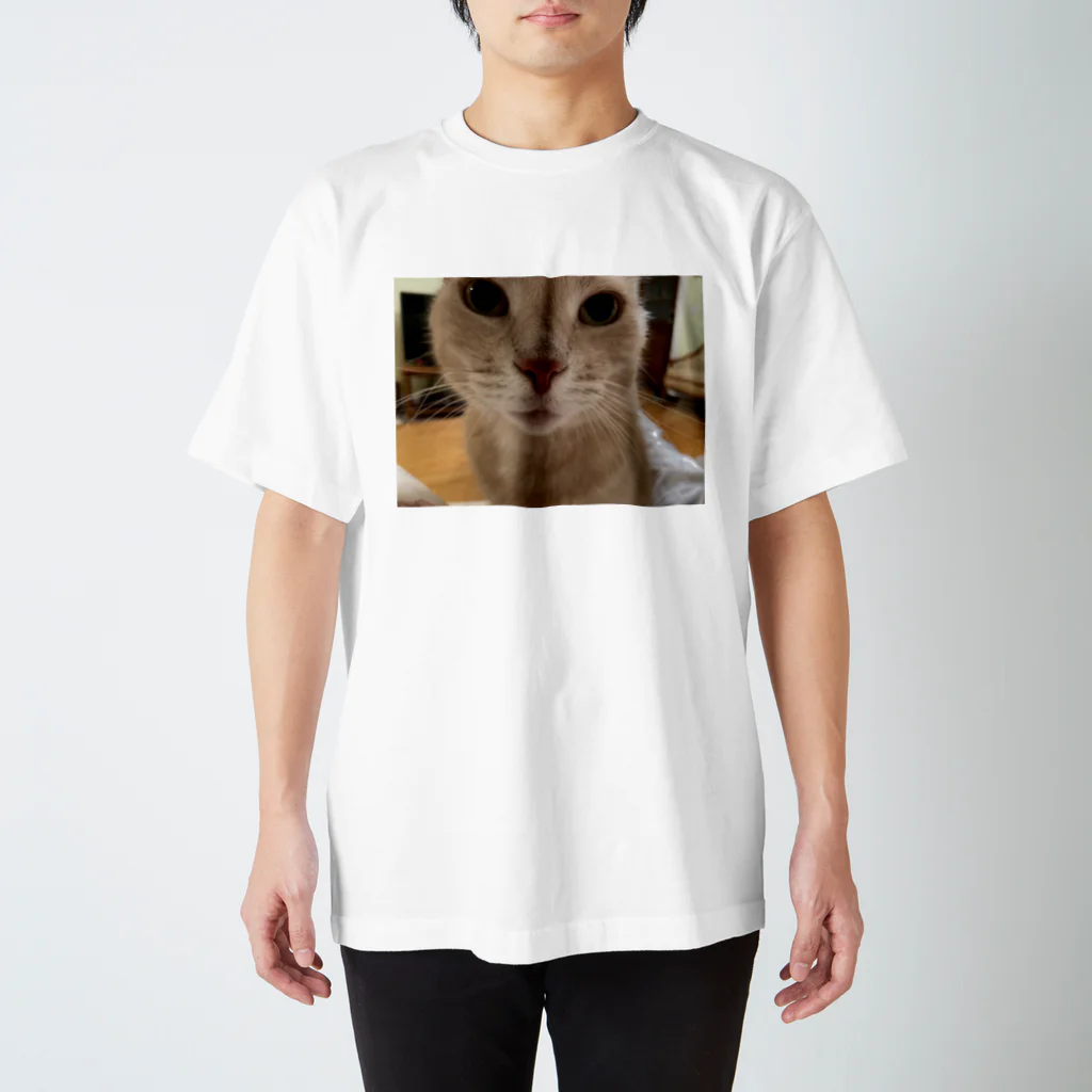 ねこかわたすかるのねこかわたすかる4 Regular Fit T-Shirt