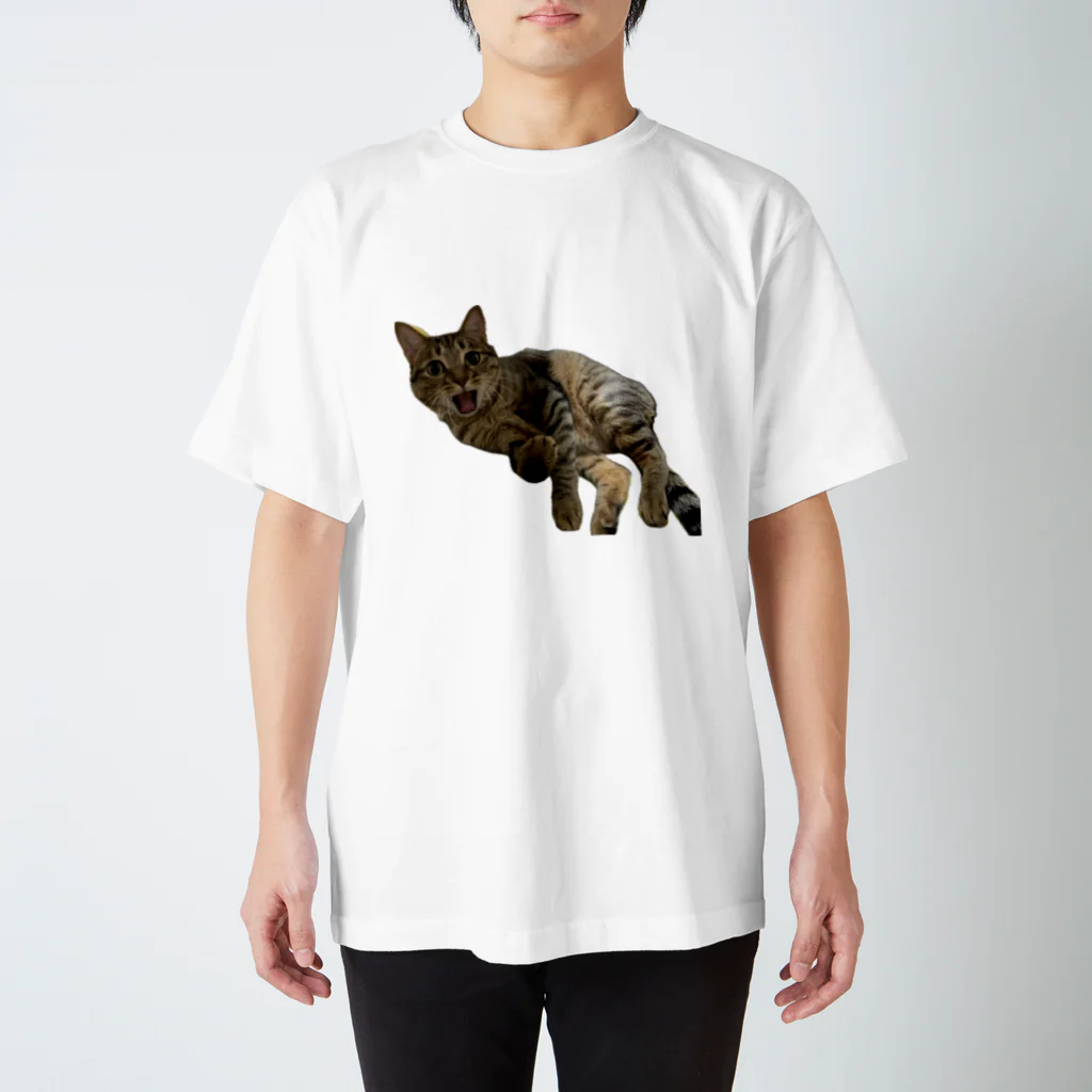 直太朗ショップのキジトラ猫の直太朗2 スタンダードTシャツ