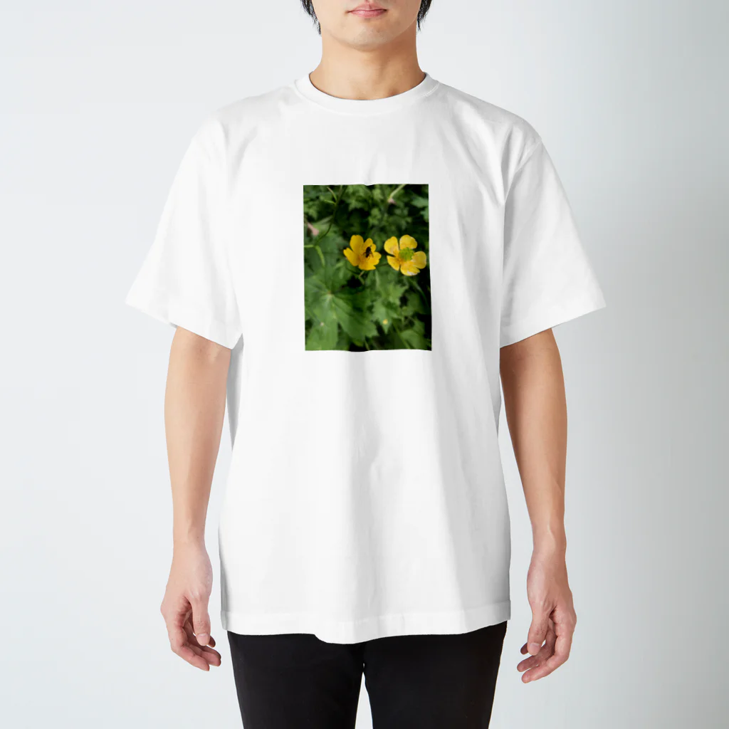 kujiradonirukadonのなんかの花とハチ スタンダードTシャツ