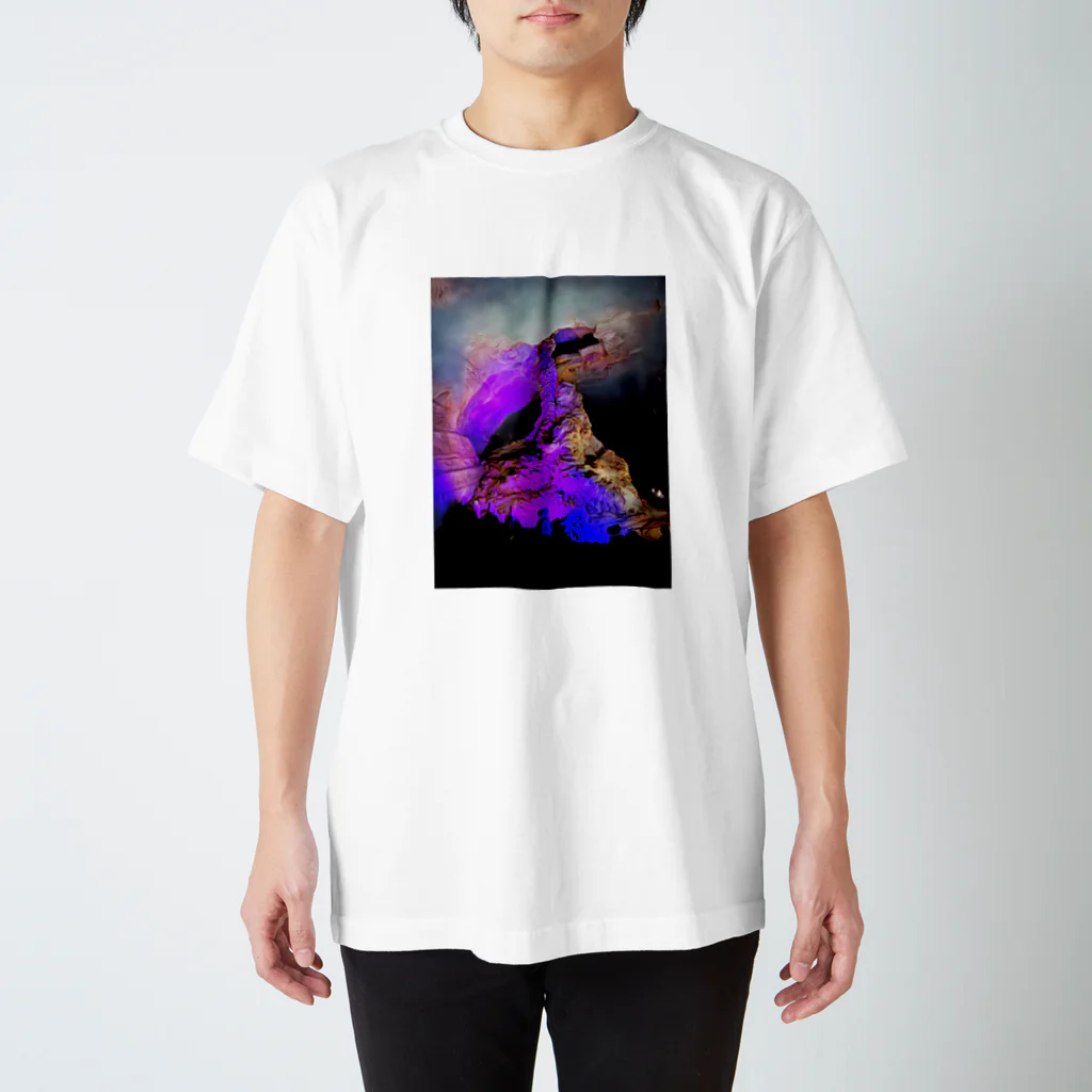 meyl29の紫の洞窟 スタンダードTシャツ