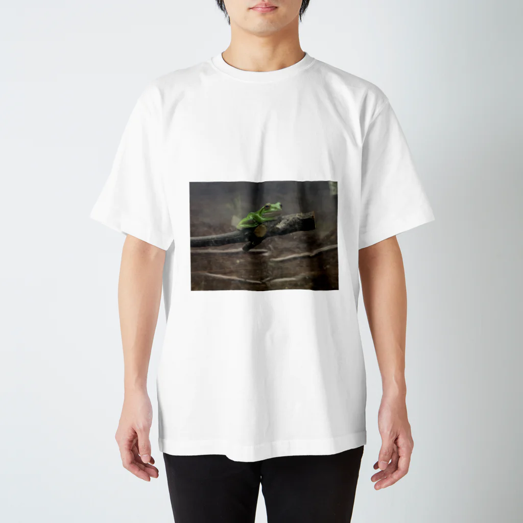 mochika21の蛙 スタンダードTシャツ
