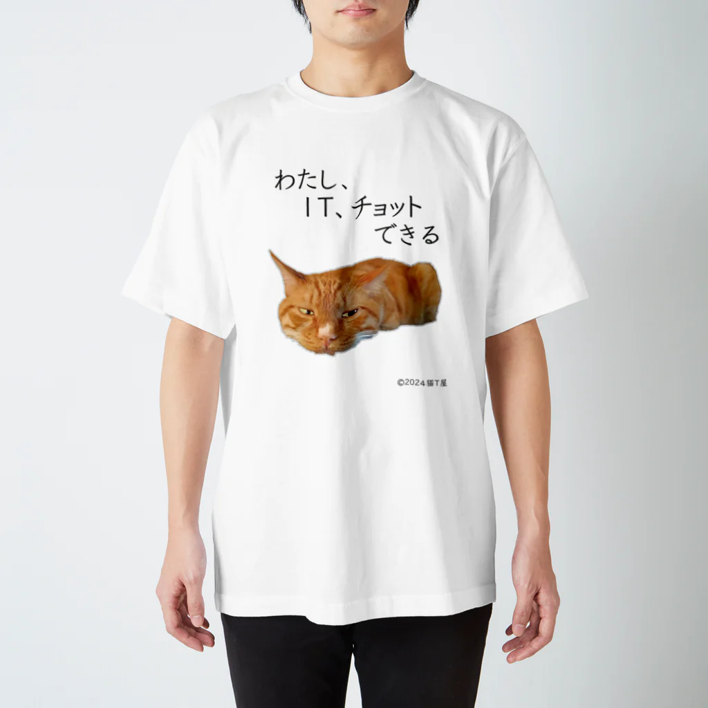 猫T屋のIT系猫 ・わたしITチョットできる / スタンダードTシャツ スタンダードTシャツ