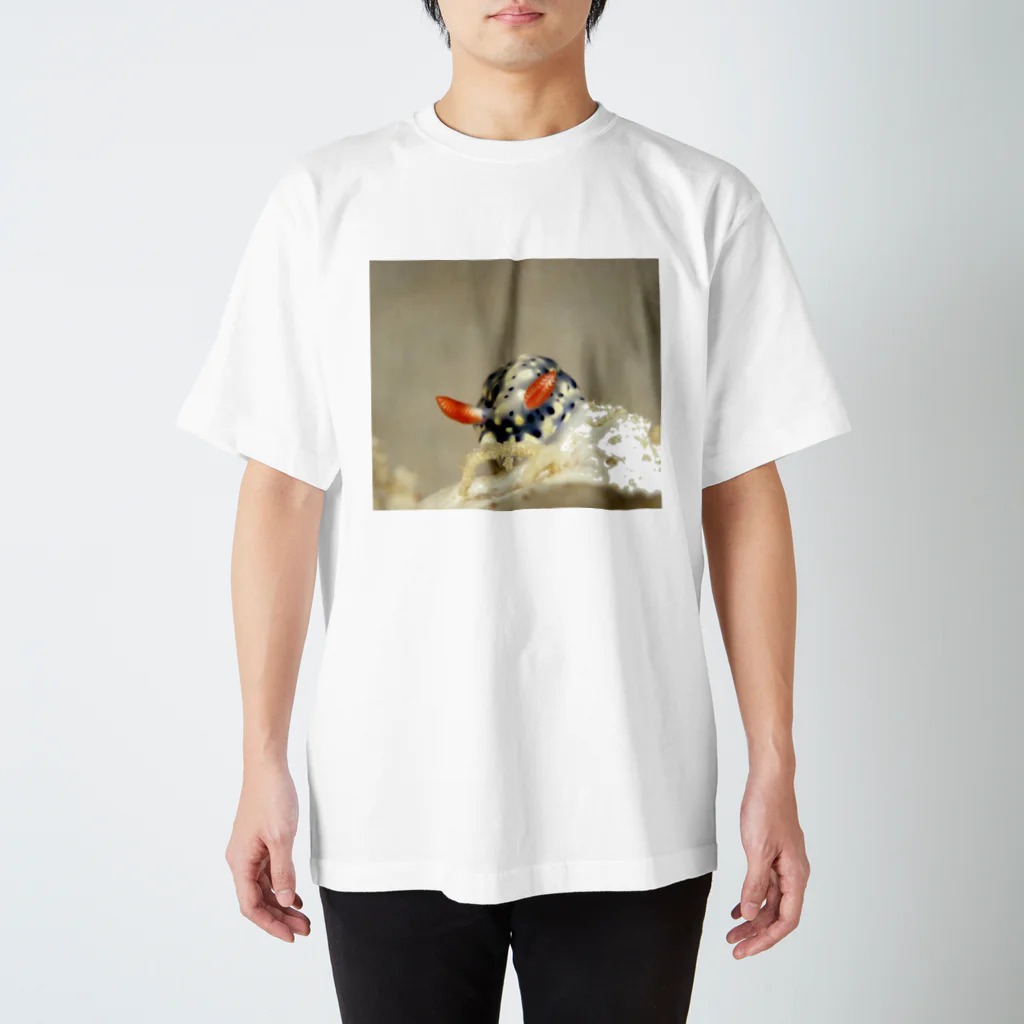 海の生き物雑貨店　うみちゅうなの海中写真2　ホシゾラウミウシ スタンダードTシャツ