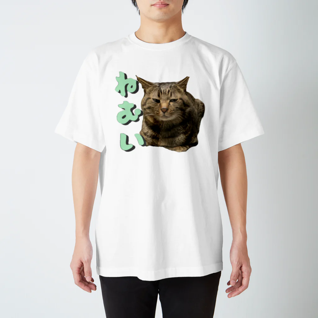 四月一日の眠い顔(実写) スタンダードTシャツ