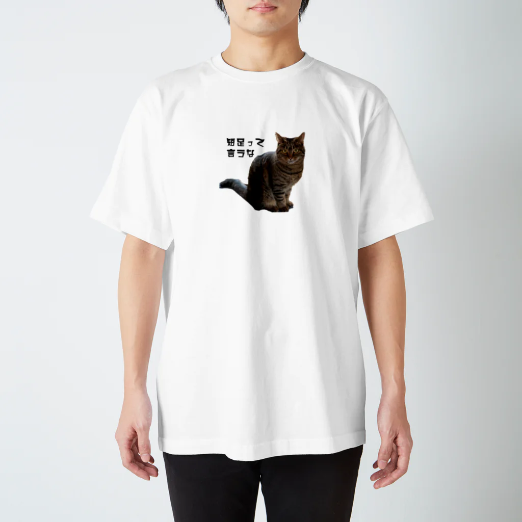 chiharu_777の短足猫ちゃん スタンダードTシャツ