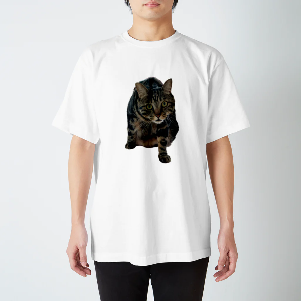 ytarohのエンジンルーム猫のエンジン２ スタンダードTシャツ