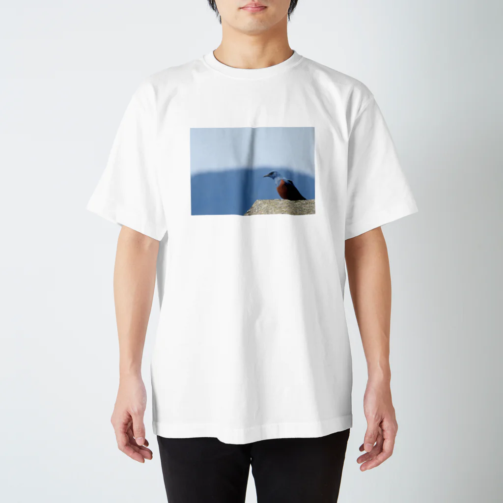 ゆりのイソヒヨドリ Regular Fit T-Shirt