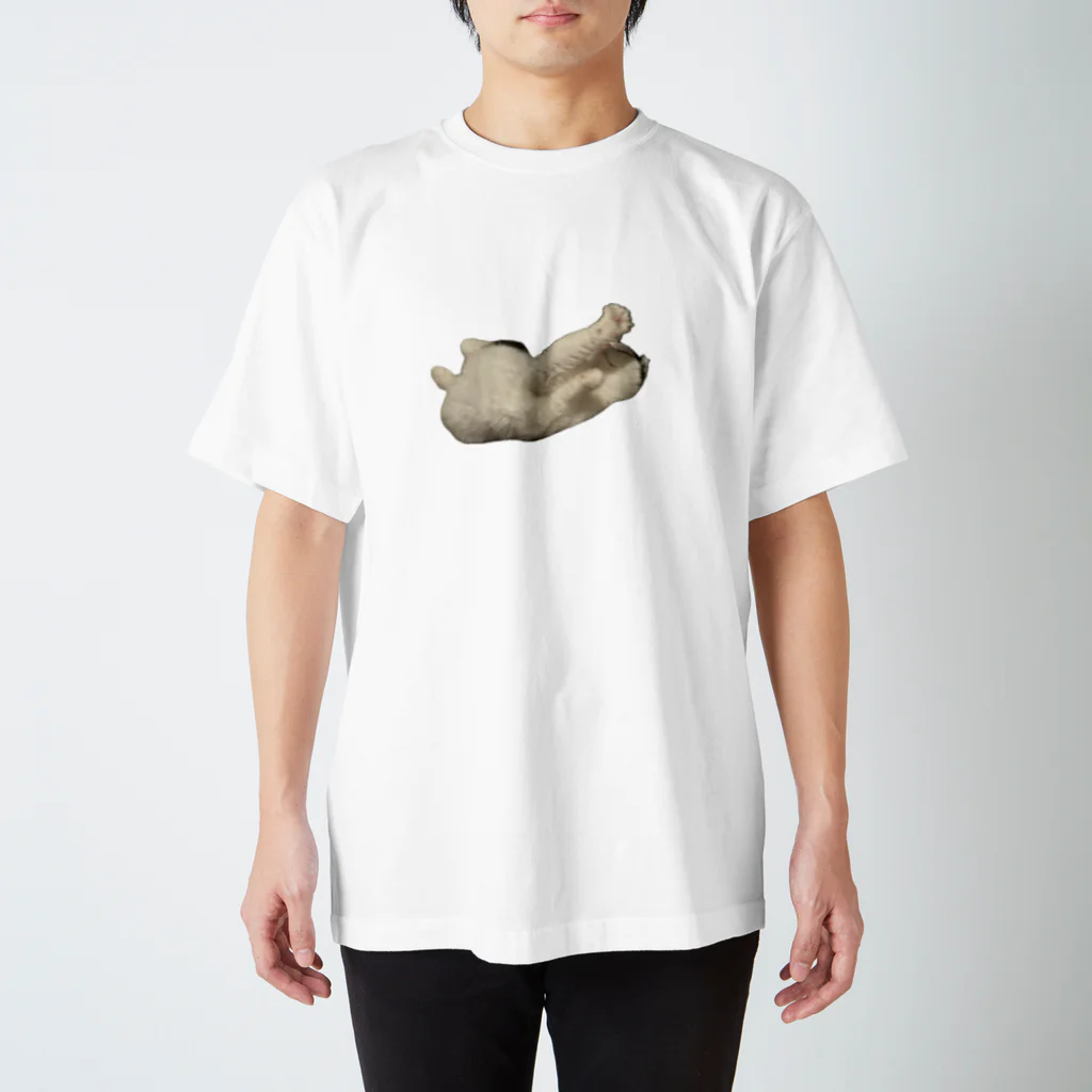 駐車場の猫寝 Regular Fit T-Shirt