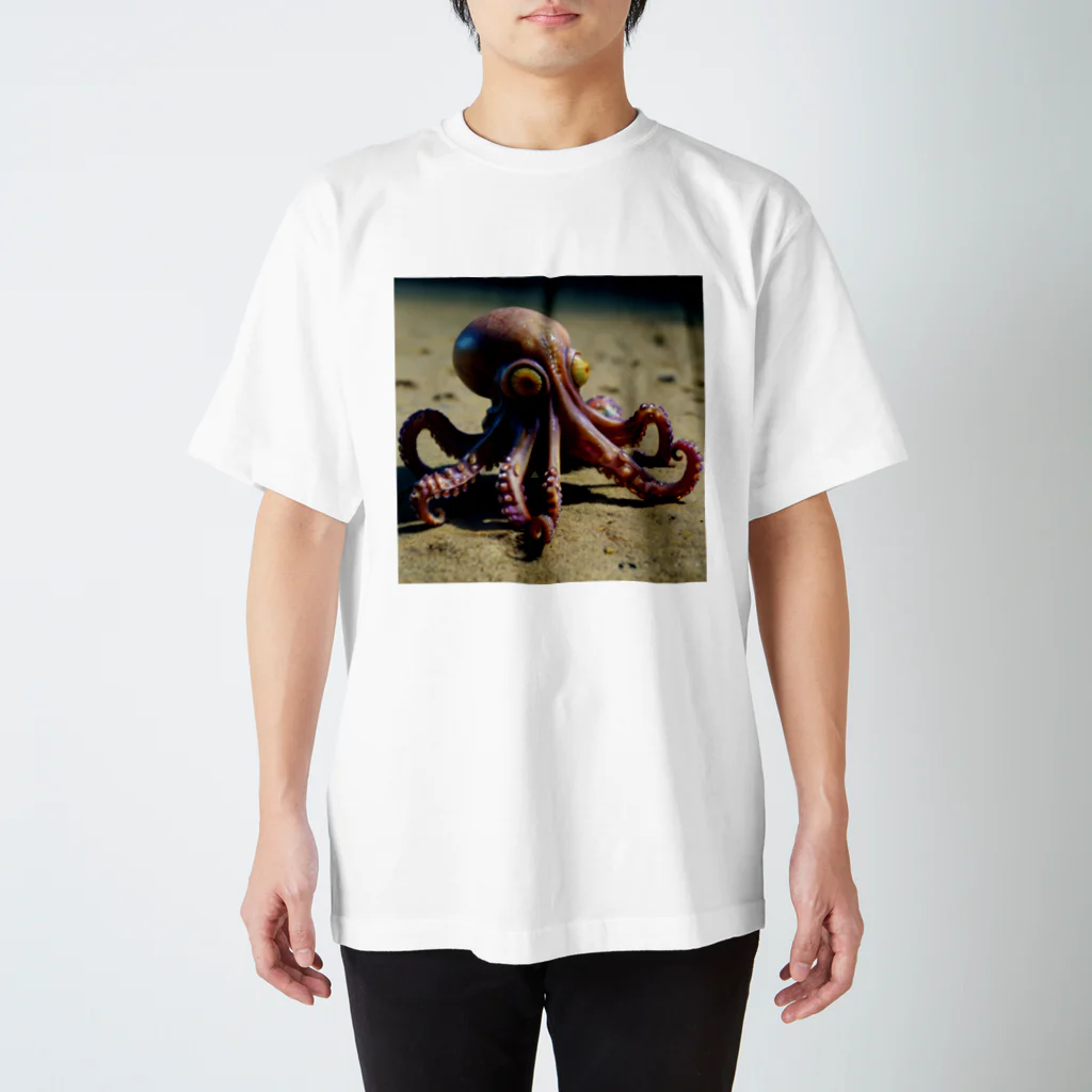 KINTA.MARIAのoctopus Regular Fit T-Shirt