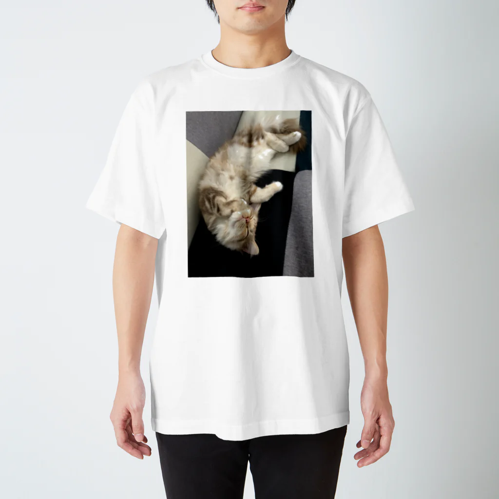 吾輩はベルである。ショップの福猫ベルちゃんの開運グッズ Regular Fit T-Shirt