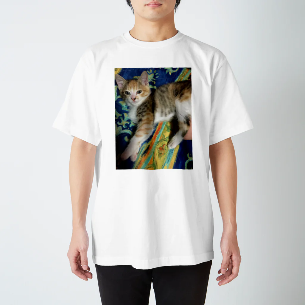 いといとにゃんこショップの何か用？ねこ Regular Fit T-Shirt