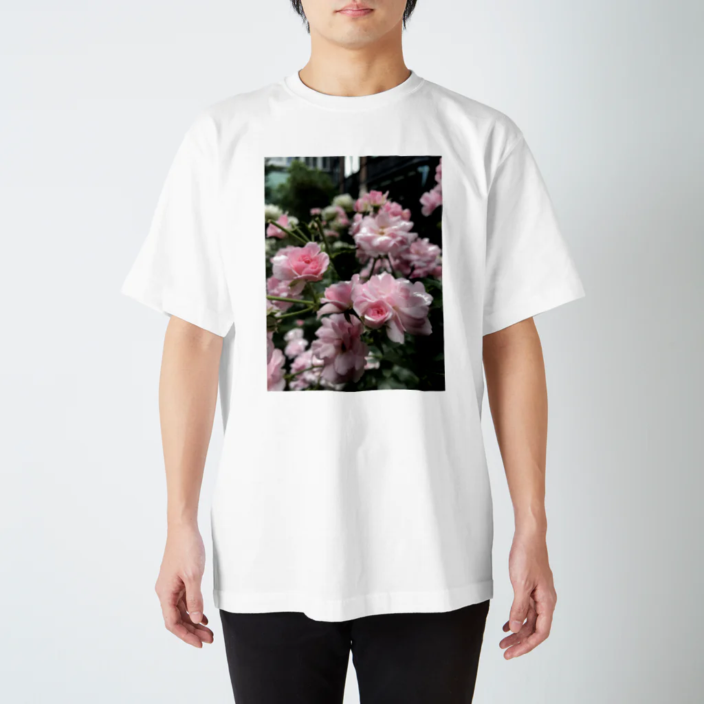 galah_addの三菱一号美術館の薔薇 スタンダードTシャツ