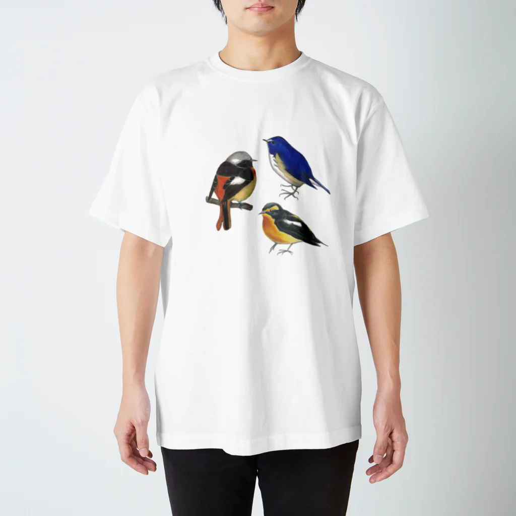 森図鑑の[森図鑑］ヒタキ科の野鳥 スタンダードTシャツ