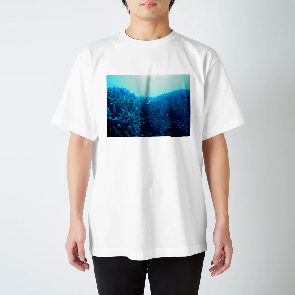 umin0nakaの青い珊瑚礁 Regular Fit T-Shirt