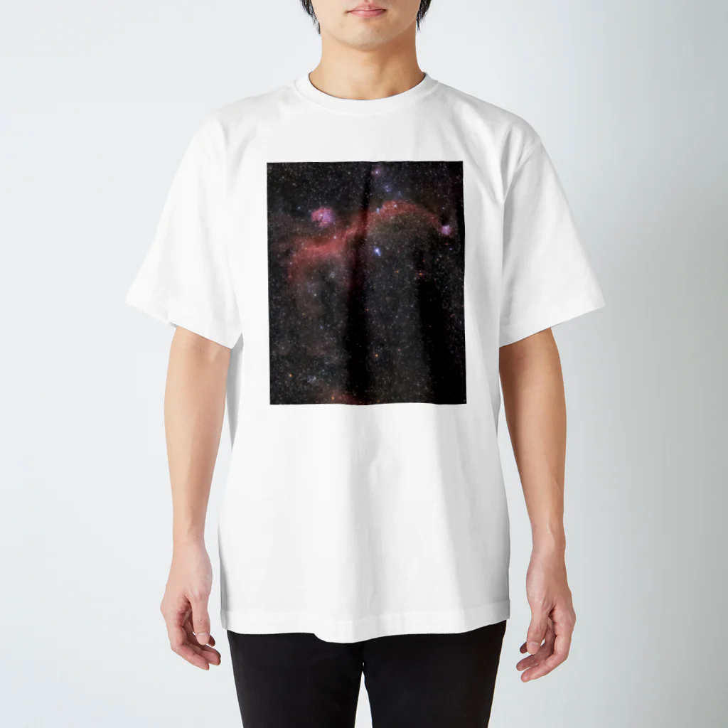 S204_Nanaのカモメ星雲 スタンダードTシャツ