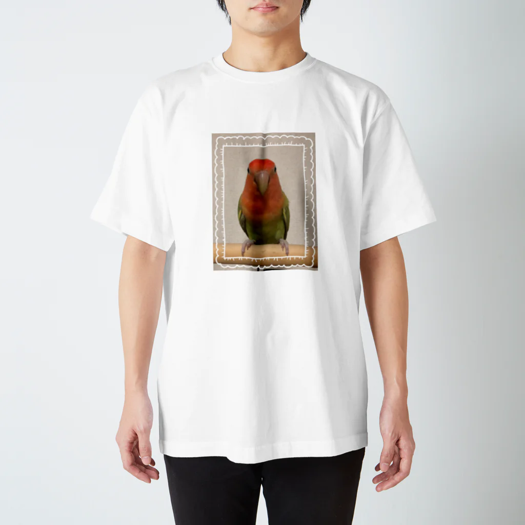 bird-kouのコザクラインコ Regular Fit T-Shirt