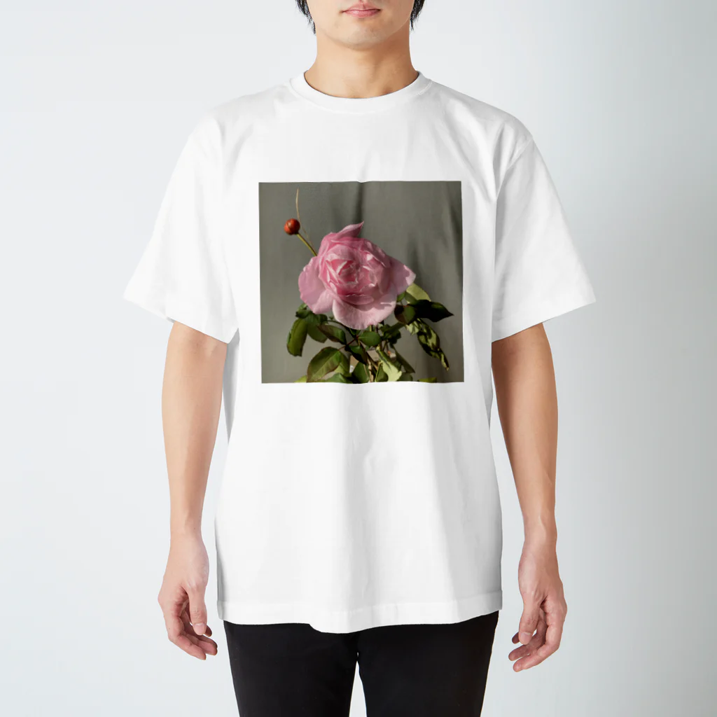 taocatの薔薇の命 スタンダードTシャツ