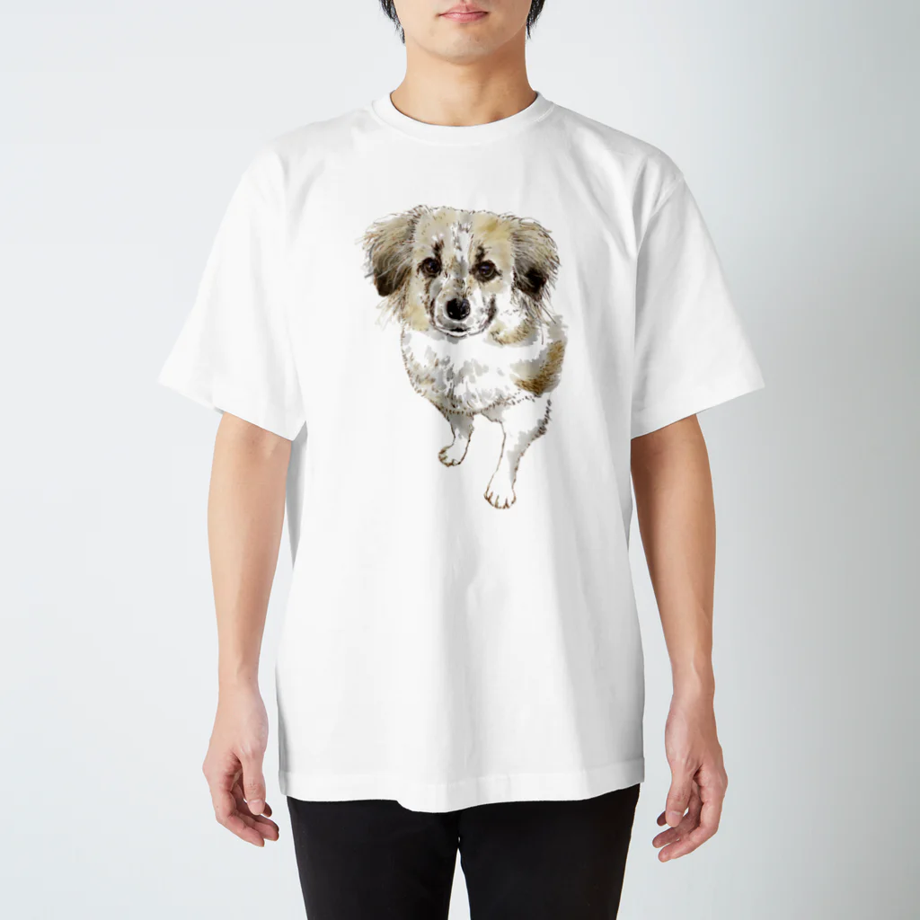 CELLOtoNERIの雑種犬セロ スタンダードTシャツ