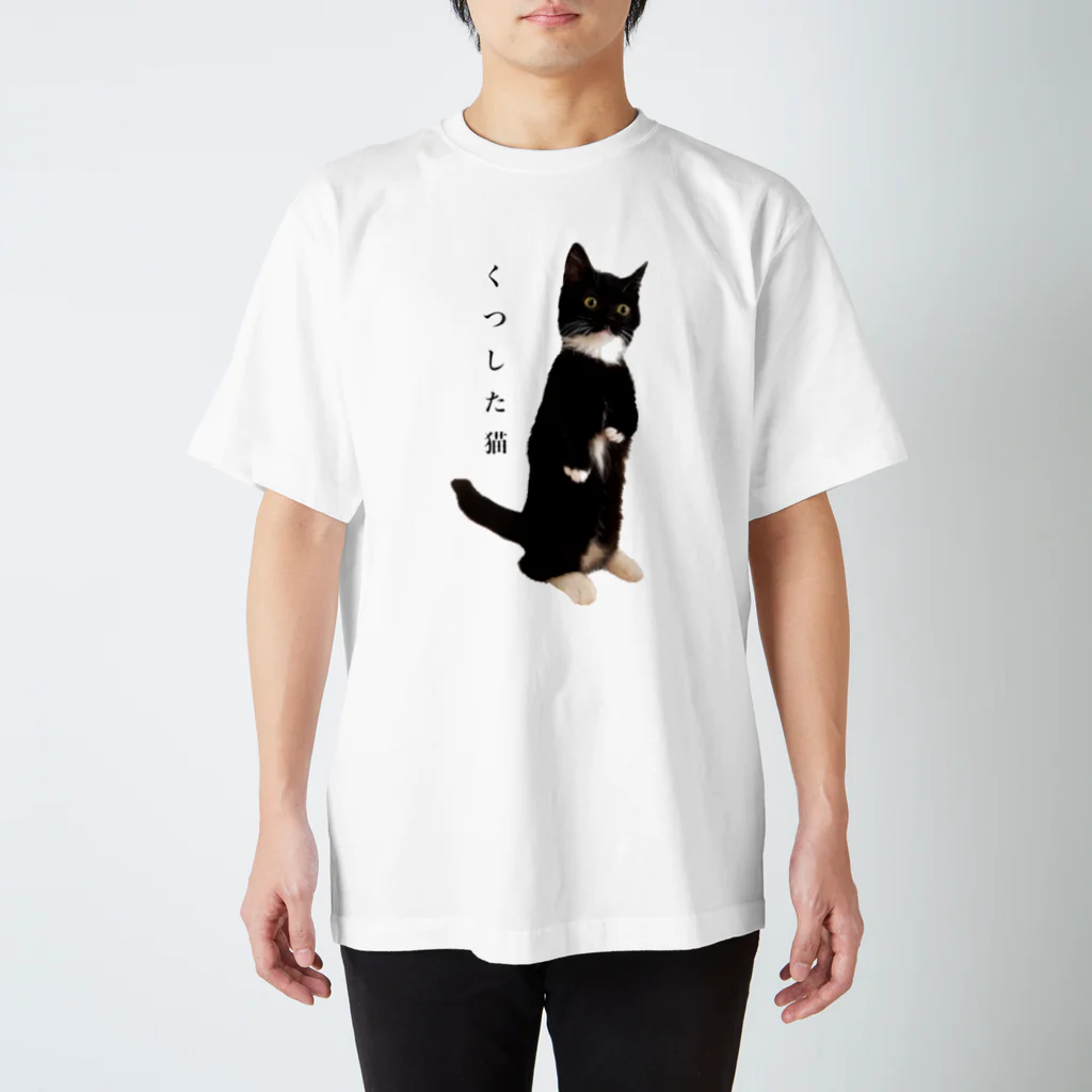 こはぜ日和  kohaze biyoriのくつした猫 スタンダードTシャツ