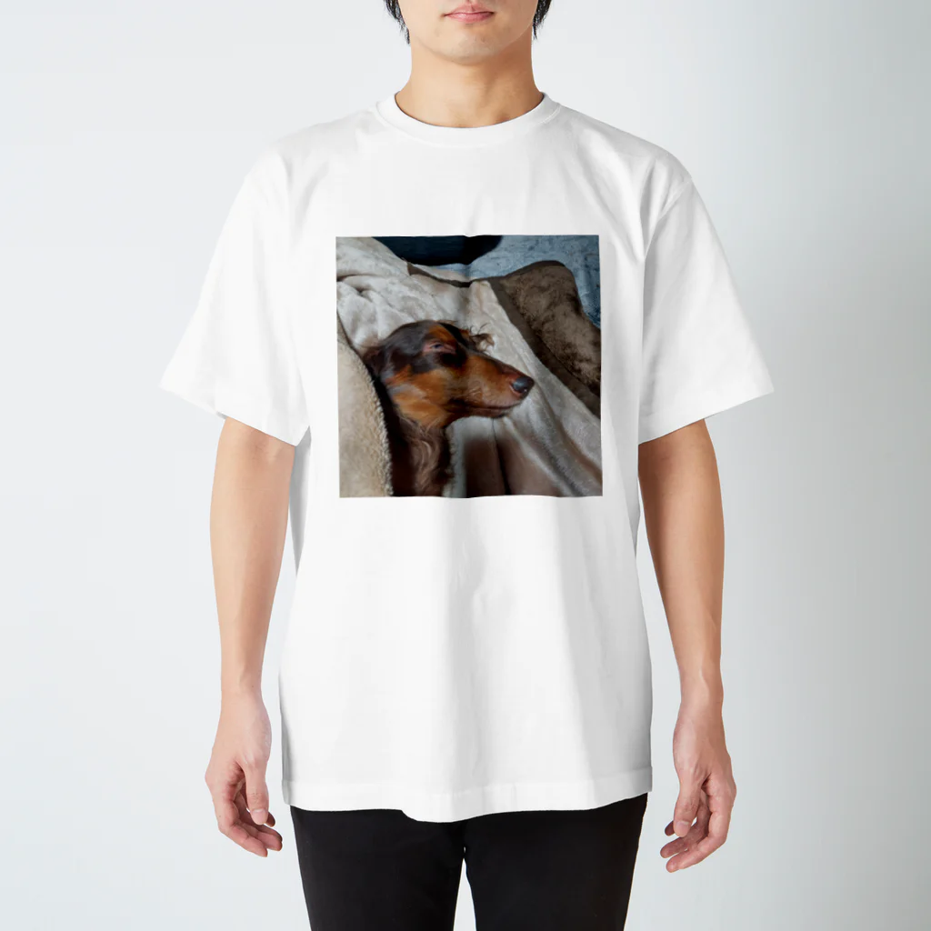 ドリームズの爆睡 Regular Fit T-Shirt