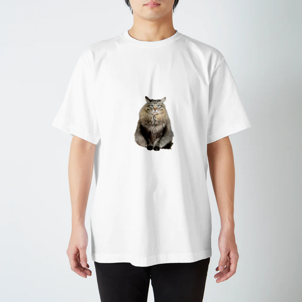 紗-suzu-のViViくん スタンダードTシャツ