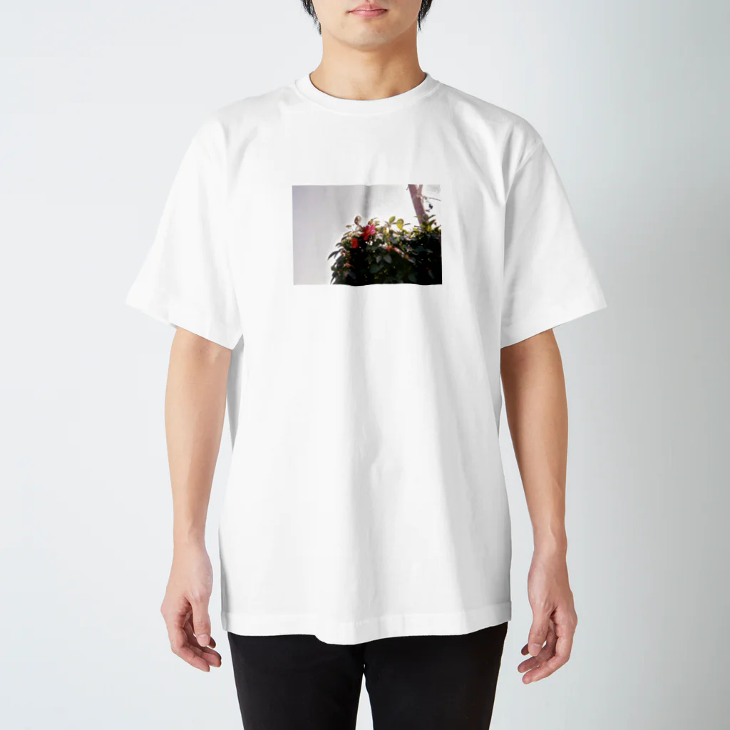 こここのどこかの花 Regular Fit T-Shirt