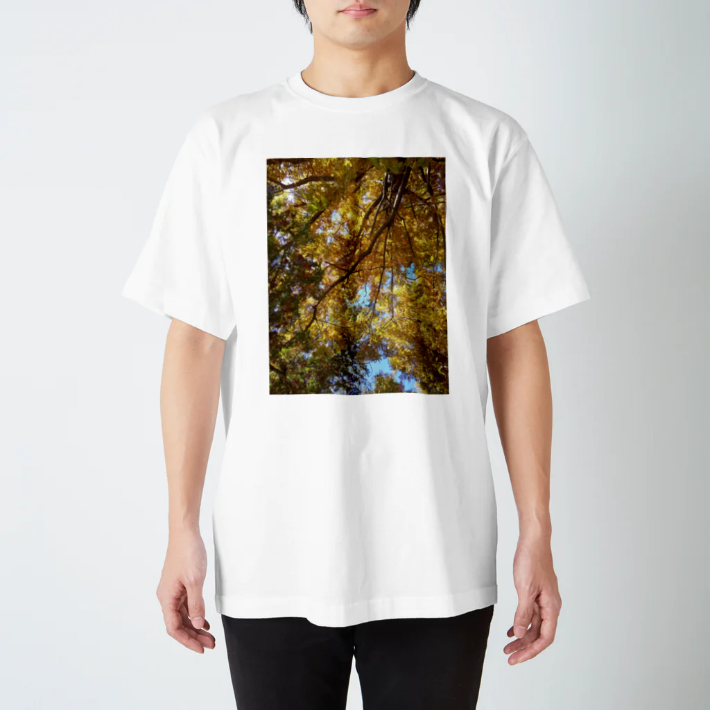 福猫山小屋の美しい木々 スタンダードTシャツ