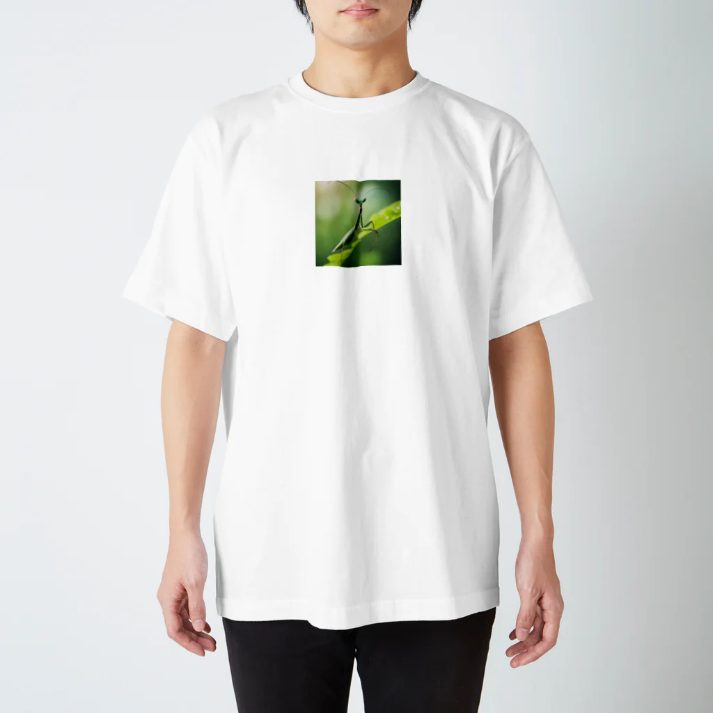 komafutaのカマキリ！ Regular Fit T-Shirt