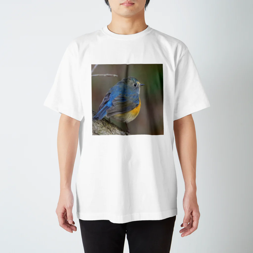 ふわふわフライトのルリオくん Regular Fit T-Shirt