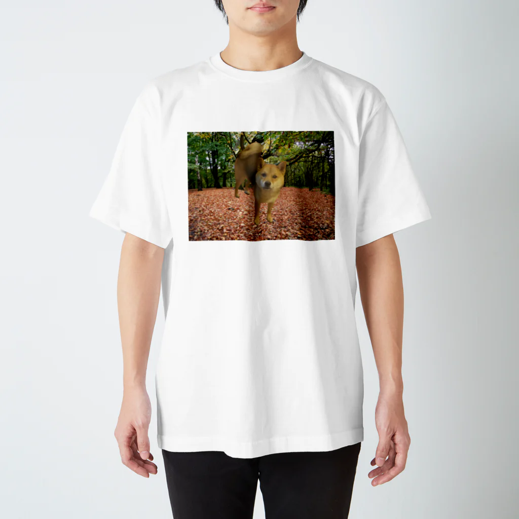 panchanphotoanimalsのこまりのスタンダードTシャツ Regular Fit T-Shirt